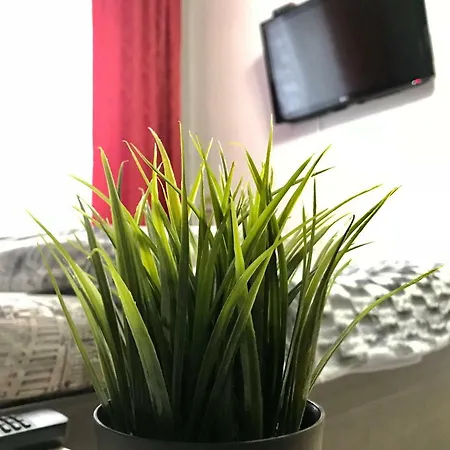 Apartment Modern Red